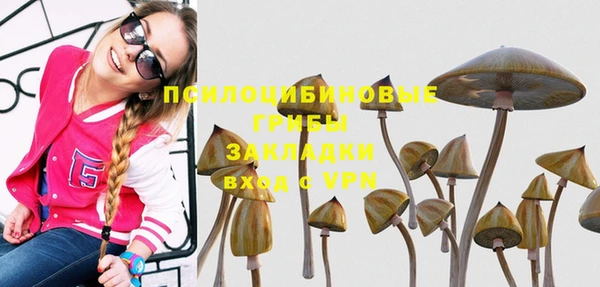 2c-b Гусиноозёрск