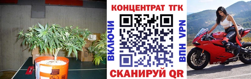 ТГК вейп с тгк  Купить где  Пересвет 