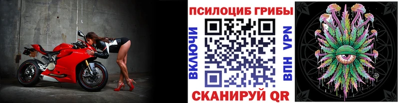 Купить  Пересвет  Галлюциногенные грибы мухоморы 