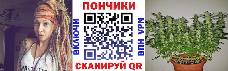 Шишки марихуана план  Купить где  Пересвет 